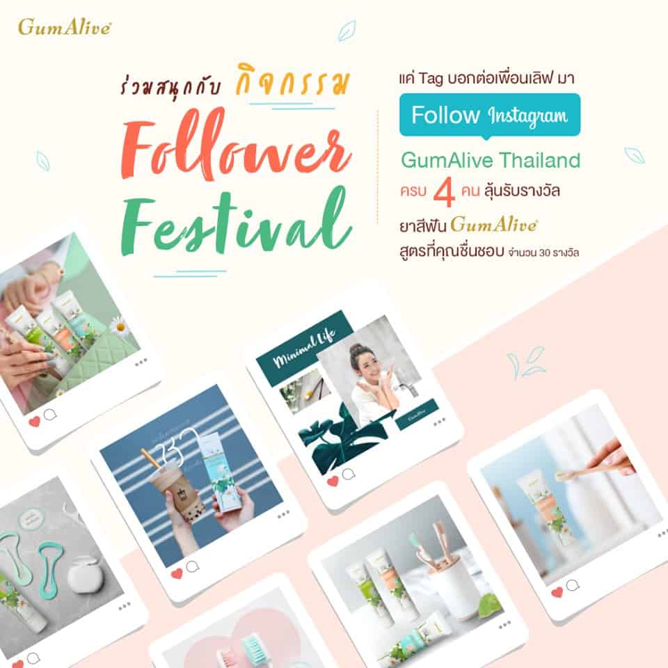 activity-gumalive-follower-festival